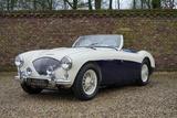 Austin Healey 100/4 BN1 100M-spec, Denis Welch cilinder head, - Austin Healey: Bn4