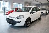 Fiat Punto Evo Dynamic MFL|PDC|KLIMA|ZV|FREISPR|SERVO - Fiat Punto Evo Gebrauchtwagen