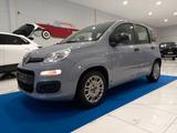 Fiat Panda 1.0 FireFly Hybrid 63.000 Km - Fiat Panda: Km H