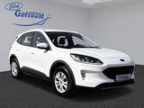 Ford Kuga Cool & Connect Winterpaket GJR PDC Navi Tem - Ford Kuga Vorführfahrzeuge