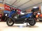 Honda Forza 125 ABS incl. Anlieferung - HONDA ROLLER 125
