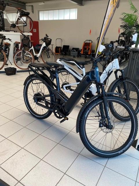 Riese & Müller Homage GT vario