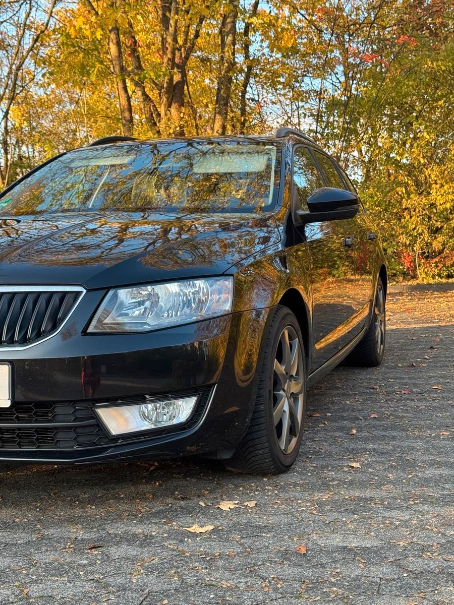 Skoda Octavia 2014 — вигляд ззаду
