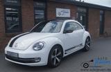 Volkswagen Beetle 2.0 TSI DSG Exclusive Sport DAB/Leder/Gsd - gebrauchte VW Beetle aus dem Jahr 2014