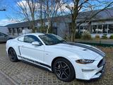 Ford Mustang 2.3 EcoBoost  - Ford Mustang in Dortmund