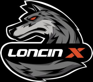 Loncin NEU*LONCIN  X-Wolf 300*Kardan*Winde*LED*