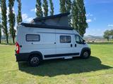 Fiat Kastenwagen mit Hubdach - Wohnmobil oder -wagen Hubdach