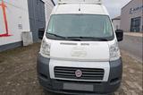 Fiat Ducato Maxi 2.0 D L3H2 - Fiat Ducato in Mannheim