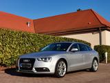 Audi A5, 1,8l, 170 PS, 5-tuerig, Facelift,... - Audi A5: Facelift