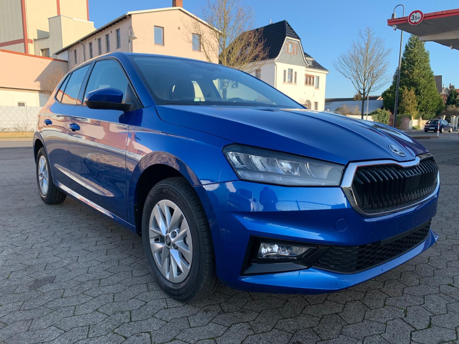 Skoda Fabia 1.0 80PS 130 Jahre SHZ|LED| 5J Garantie