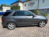 Mercedes-Benz GLE 350 d 4MATIC - - Mercedes-Benz GLE 350 aus 2018