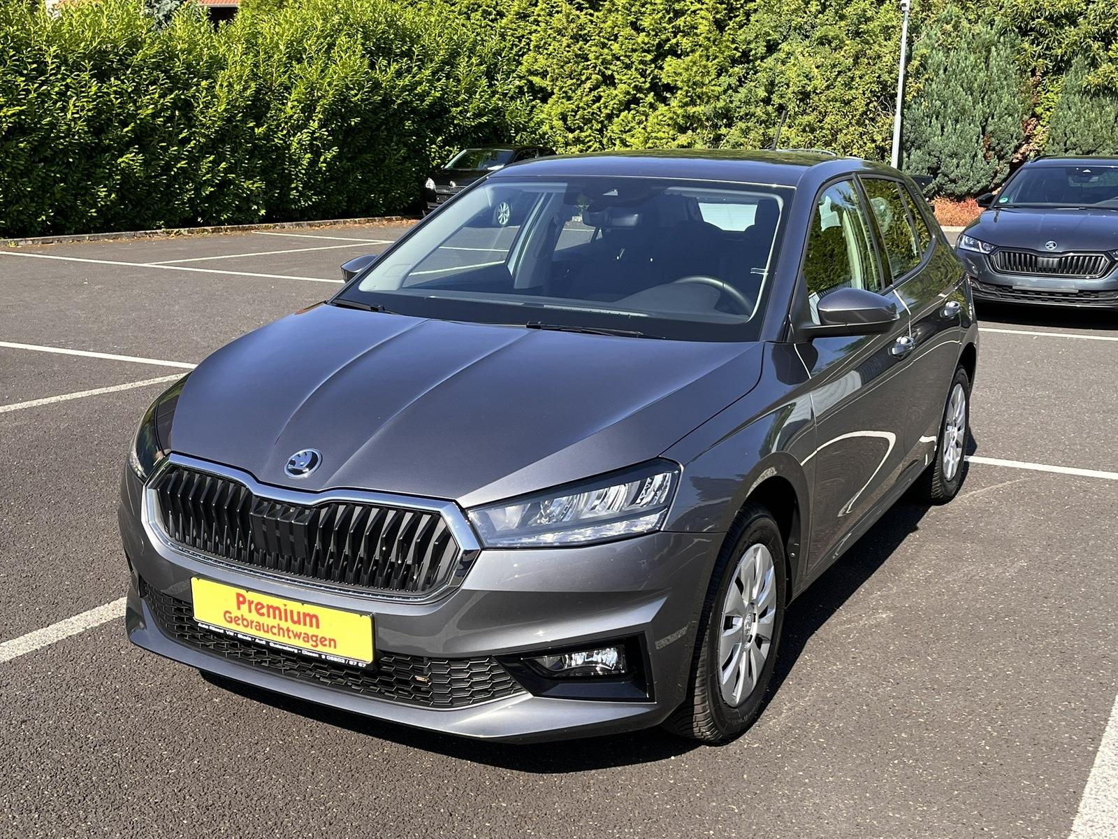 Skoda Fabia 1.0 TSI DSG Selection SHZ PDC LED