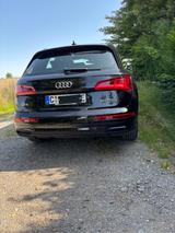 Audi Q5 50 TFSI e S tronic quattro design design - Audi Q5 design mit Hybrid-Antrieb (Benzin/Elektro)