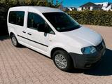 Volkswagen VW Caddy Life 1.6 Klima technisch top 5 Si... - Volkswagen Caddy aus 2004