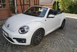 Volkswagen Beetle 1.2 TSI BMT SOUND Cabriolet SOUND - gebrauchte VW Beetle aus dem Jahr 2018