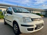 Fiat Panda 1.2 8V*KLIMA*REIFEN-BREMSEN-TÜV-NEU* - Fiat Panda in Ludwigshafen