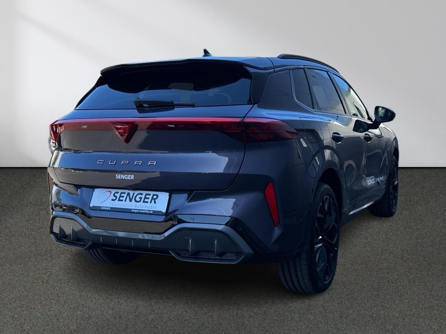 Cupra Terramar VZ 2.0 TSI 4D HD-Matrix PANO AHK Leder