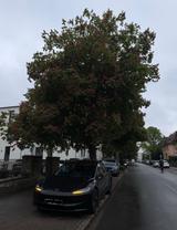Tesla Model 3 Allradantrieb mit Dualmotor Long Ran... - Tesla Model 3 aus 2024
