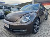 Volkswagen Beetle Lim. Exclusive Sport*Leder*Led* - Volkswagen Beetle: Exclusive Sport