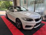 BMW M2 Baureihe 2 Cabrio M235 i - BMW mit Benzin-Antrieb: Cabrio, Baur