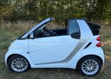 Smart ForTwo cabrio 1.0 52kW mhd passion passion