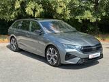 Skoda RS 195kW DSG NAVI DCC PADACH KAMERA eHK LM19"AHK - : Grau, Stoff
