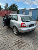 Audi a3 1.6 Tüv neu wenig km - Audi A3 aus 2004: 1.6