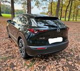 Mazda CX-30 e-SKYACTIV-G M-Hybrid 140 Homura Homura - Mazda CX-30 von privat