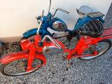 Zündapp Bergsteiger M25 - ZÜNDAPP VON 1 BIS 50 CCM