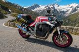 Suzuki GSXR 1100 Depner Design - Offers