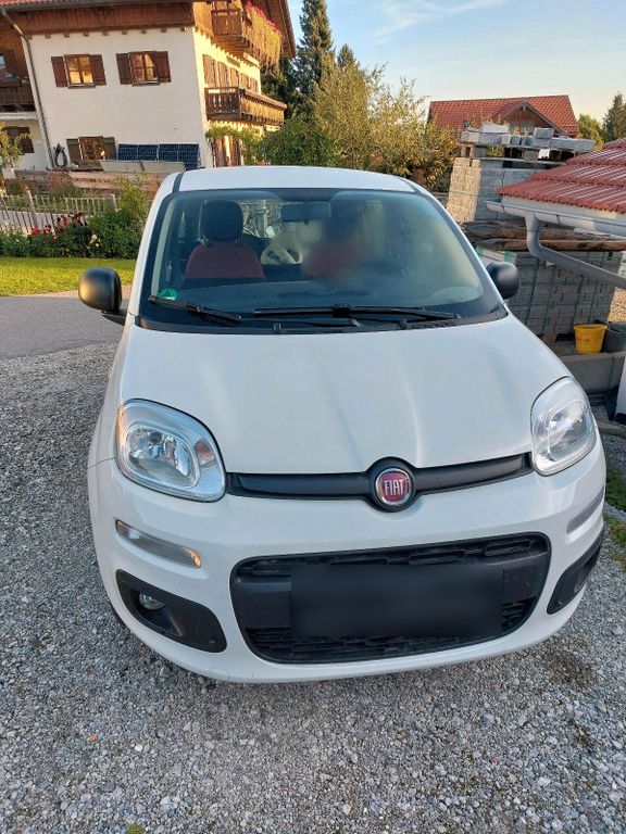 Image of Fiat Panda