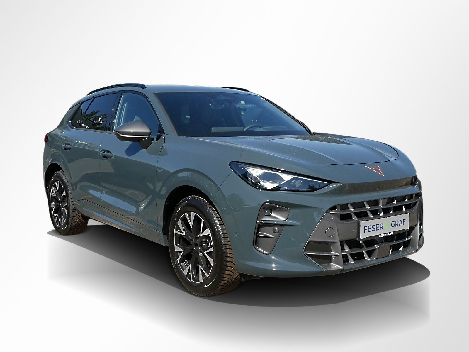 Cupra Terramar - Bild 5