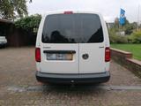 Volkswagen Caddy Maxi 1.4 TGI Benzin/CNG, Sortimo-Ausbau - Sortimo gebraucht