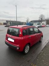 Fiat Panda 1.2 / 2014 / 2. Hand / Klima / TÜV - Fiat Panda in Hamm