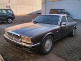 Jaguar XJ 40 Sovereign 4.0 - Jaguar XJ40: Sovereign