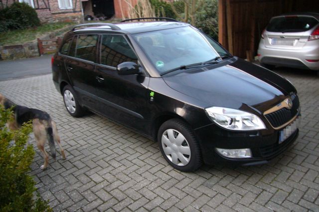 Skoda Fabia Combi Greenline