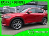 Mazda CX-5 Sports-Line Plus AWD *1.Hand*Wartungen lück - gebrauchte Mazda CX-5 aus dem Jahr 2019