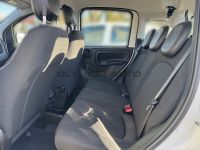 Fiat Panda MY25 Hybrid 1.0 GSE KLIMA TOUCH DAB PDC BT - Image