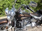 Harley-Davidson Heritage Softtail Anniversary110th - Offers