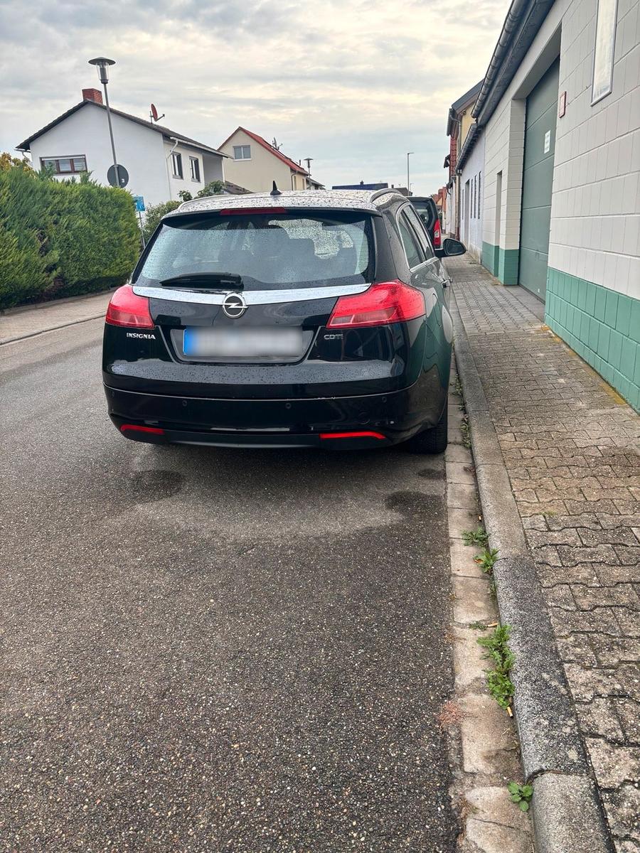 Opel Insignia 2009 — photo 9