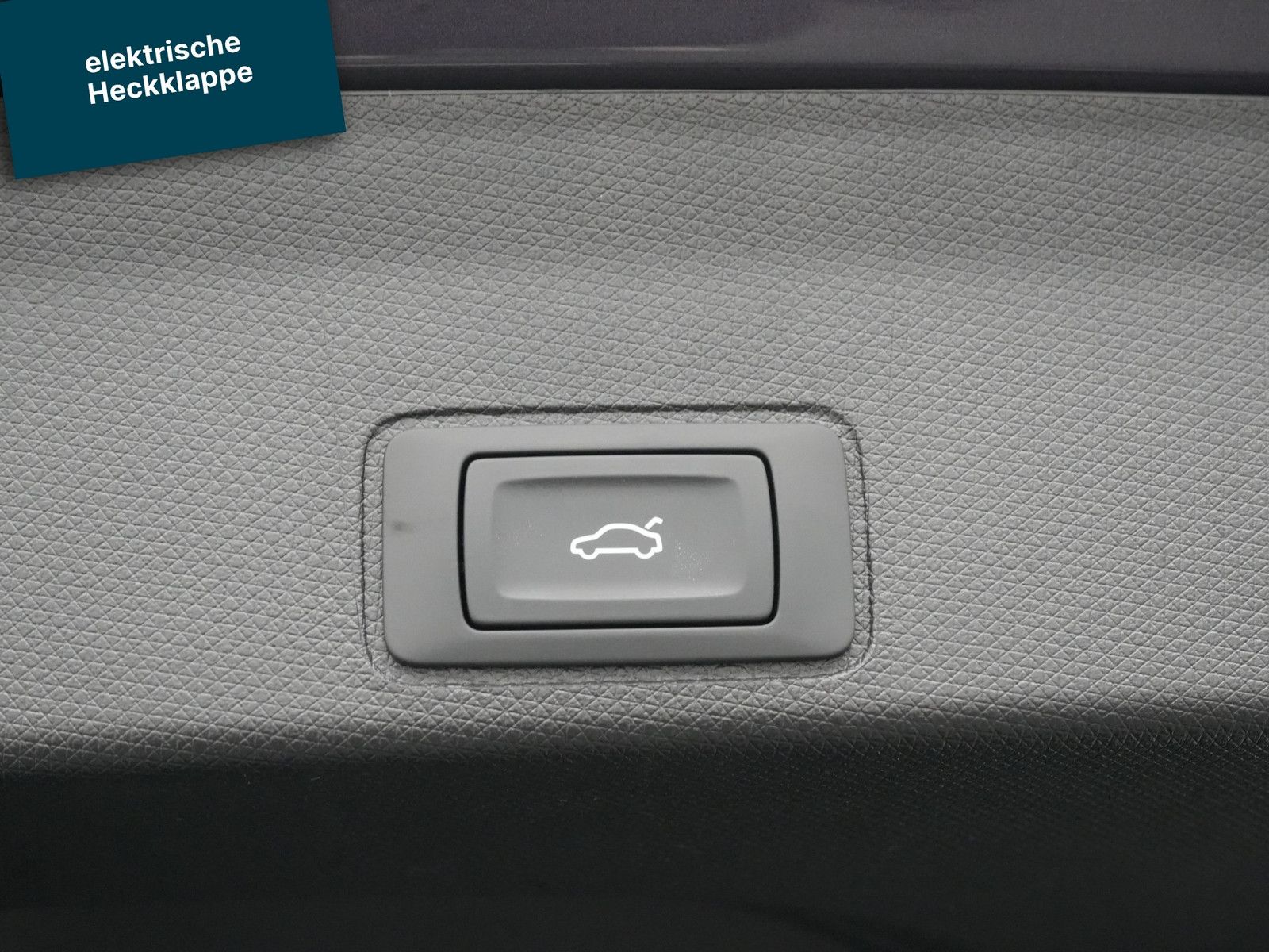 Cupra Terramar - Bild 21