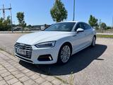 Audi Sportback 40 TFSI S-Line Kamera - Audi Gebrauchtwagen in Ingolstadt