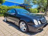 Mercedes-Benz CLK 430 AVANTGARDE TüV 5.27 - Mercedes-Benz CLK 430 aus 1999