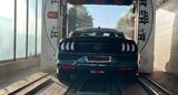 Ford Mustang 5.0 Ti-VCT V8 Bullitt Bullitt - Ford Mustang mit Benzin-Antrieb: Coupé, Bullit