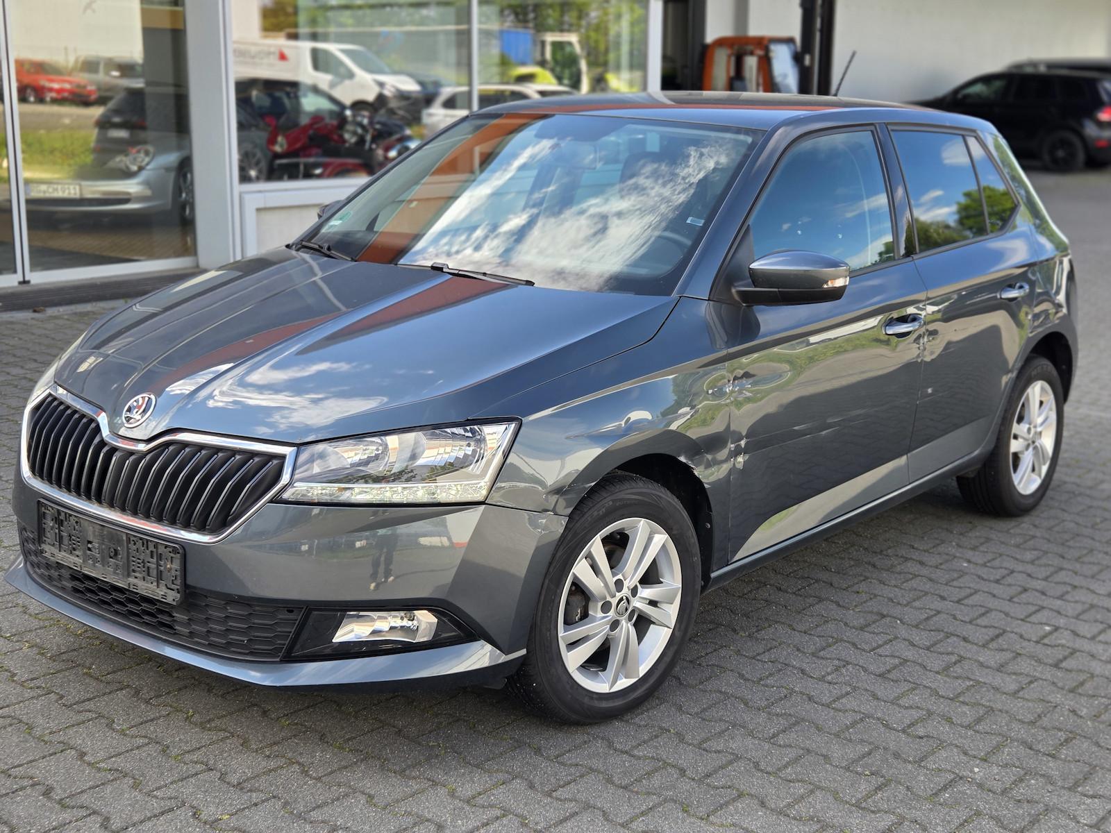 Skoda Fabia 1.0 TSI Car-Play/Android-Auto/Kamera