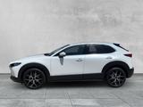 Mazda CX-30 2.0 SKYACTIV-X SELECTION AWD BOSE,NAVI,SHZ - Mazda: Weiß, Leder