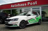 Skoda Fabia R5 Automatik ACC Kamera CarPlay Sitzheiz - Skoda Fabia: Automat