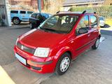 Fiat Panda 1.2 8V MyLive **KLIMA**ZV**EFH**... - gebrauchte Fiat Panda aus dem Jahr 2012