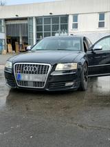 Audi AUDI S8 D3 V10 5.2 - Audi S8: D2
