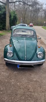 Volkswagen Käfer Baujahr 68 -Originallack  - Volkswagen Käfer: Grün
